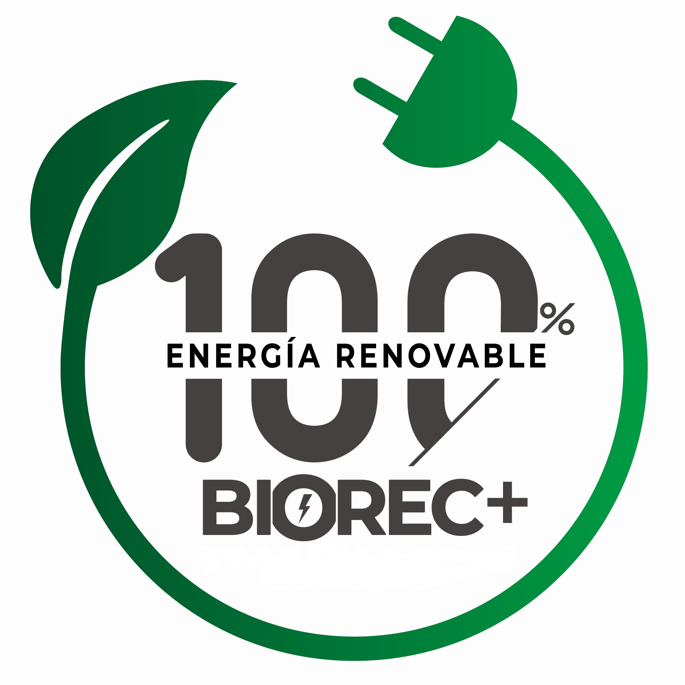 RE100: empresas unidas en pos de una transición energética.