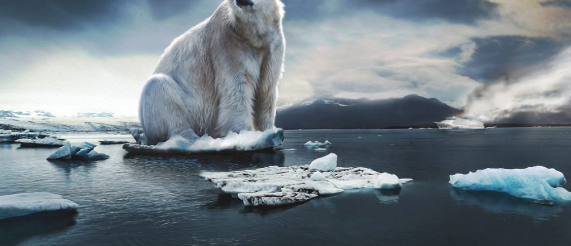 Polar Bear Climate Change