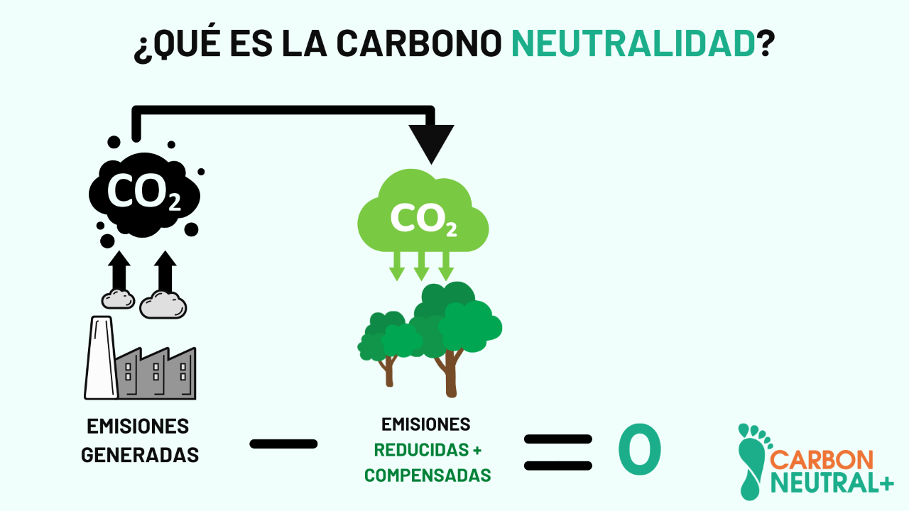 Qu Es Y C Mo Alcanzar La Carbono Neutralidad