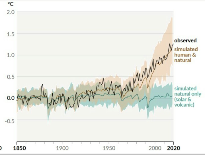 Cambio en la temperatura de la superficie global (promedio anual) como se observa y simulado utilizando factores humanos y naturales y solo naturales (ambos 1850-2020)